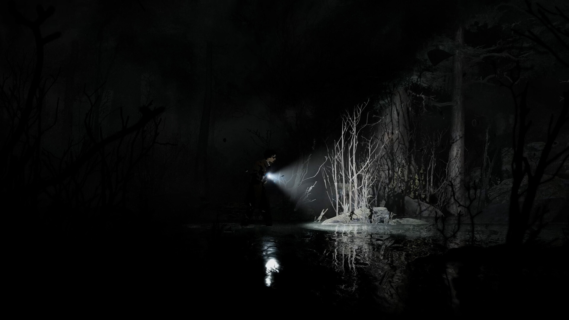 A torch beam picks out pale trees by a Silver Pines pond
