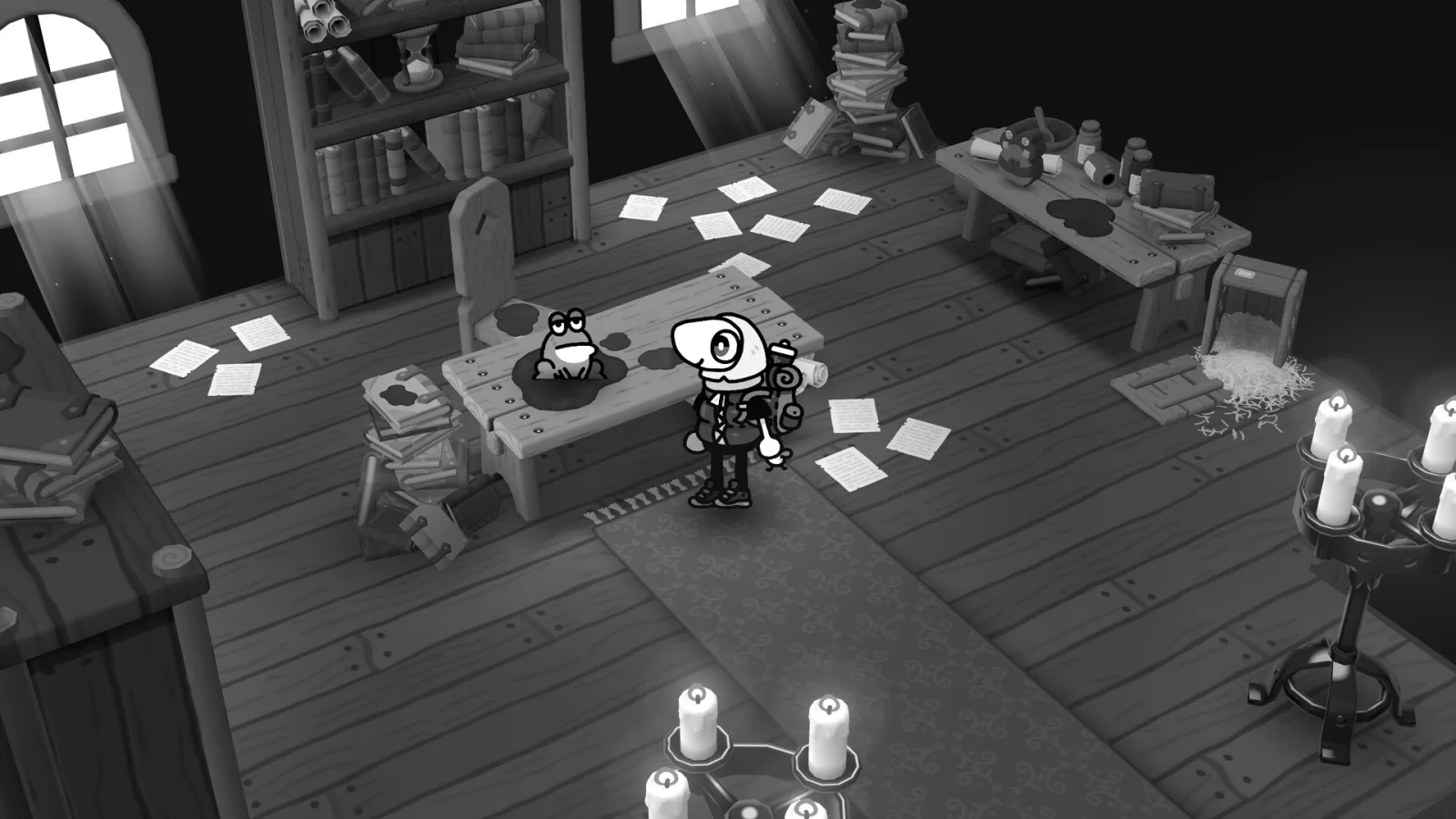 In TOEM 2, the photographer stands by a frog sitting on a cluttered desk